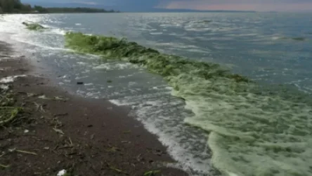 Սևանա լճի մակարդակը մեկ շաբաթվա ընթացքում իջել է 1 սմ-ով