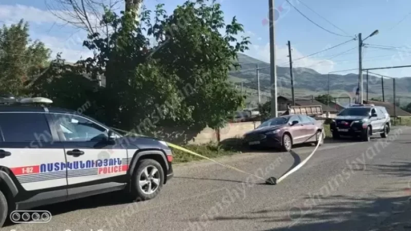 ՌԴ քաղաքացին Ford Fusion-ով վրաերթի է ենթարկել 2 տղա երեխաների