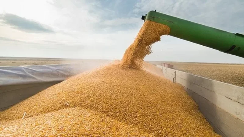 ՌԴ ԱԳՆ-ն նշել է հացահատիկի գործարքի վերսկսման պայմանները