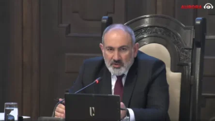 ՏԵՍԱՆՅՈՒԹ. Չենք կարող մարդկանց ստիպել, որ գնան, ամուսնանան. վարչապետը` Անահիտ Ավանեսյանին