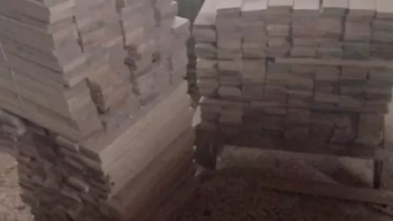 ՏԵՍԱՆՅՈՒԹ․ Ոստիկանները ապօրինի ծառահատման դեպք են բացահայտել