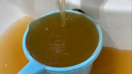 ՏԵՍԱՆՅՈՒԹ. «Ծորակը բացում ենք, ջրի փոխարեն թույն է գալիս». Նորագավիթ թաղամասի բնակիչներ