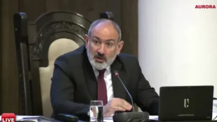 ՏԵՍԱՆՅՈՒԹ. Փաշինյանը` «Կյանքի պուրակ»-ի մասին