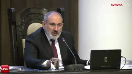 ՏԵՍԱՆՅՈՒԹ.  Մենք պետք է գնանք ստվերի հետևից. Փաշինյան