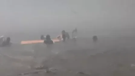 ՏԵՍԱՆՅՈՒԹ. Ինչպես են Հավայան Մաուի կղզու բնակիչները նետվել օվկիանոսը` փրկվելով հրդեհից