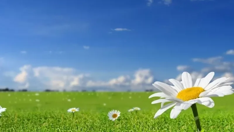 Ինչպիսի՞ եղանակ կլինի առաջիկայում