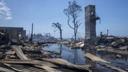 ՏԵՍԱՆՅՈՒԹ․ Հավայան Մաուի կղզում անտառային հրդեհների հետևանքով զոհերի թիվը հասել է 67-ի