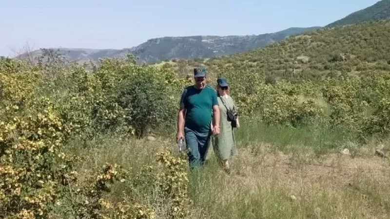 Չորս քաղաքացի մոլորվել են և չեն կարողացել շարունակել ճանապարհը․ ՆԳՆ