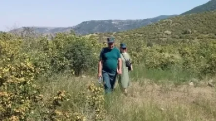 Չորս քաղաքացի մոլորվել են և չեն կարողացել շարունակել ճանապարհը․ ՆԳՆ