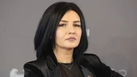 Ապօրինի անցակետում Ալենի նկատմամբ բռնություն է կիրառվել․ Մետաքսե Հակոբյան