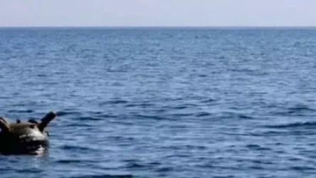 ՏԵՍԱՆՅՈՒԹ. Ռումինական Սևծովյան հանգստավայրում ռազմածովային ական է պայթել