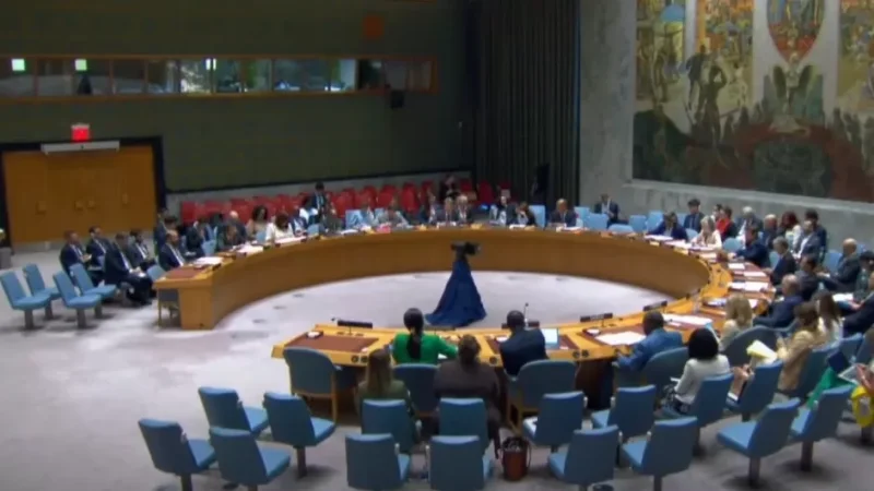 ՄԱԿ ԱԽ–ում քննարկում են Արցախում հումանիտար ճգնաժամը