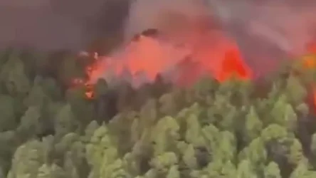 ՏԵՍԱՆՅՈՒԹ. Իսպանական Տեներիֆե կղզու տարածքից զանգվածային տարհանումը շարունակվում է