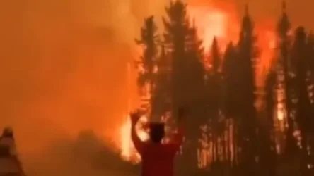 ՏԵՍԱՆՅՈՒԹ․ Կանադայում անտառային հրդեհները շարունակվում են