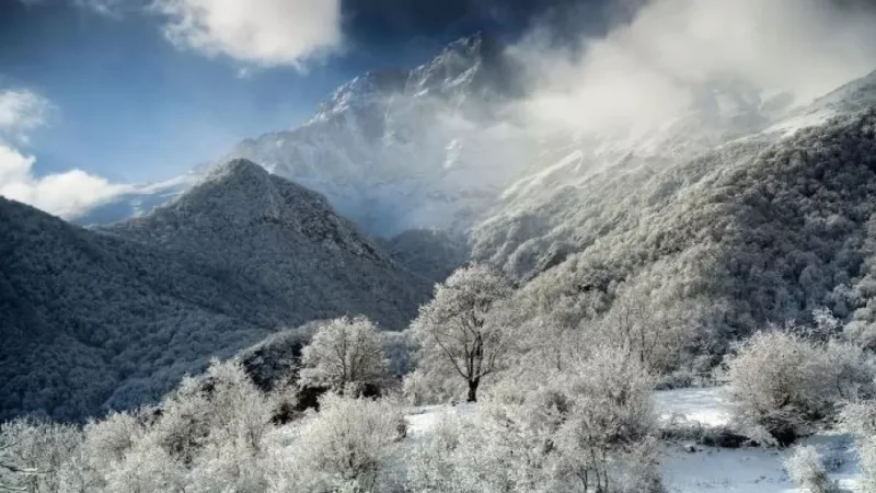 Հայ լուսանկարիչը հաղթել է «Planet Earth Life Framer» միջազգային մրցույթում