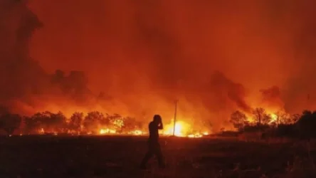 ՏԵՍԱՆՅՈՒԹ. Հյուսիսային Հունաստանում անտառային հրդեհների հետևանքով 18 մարդ է մահացել