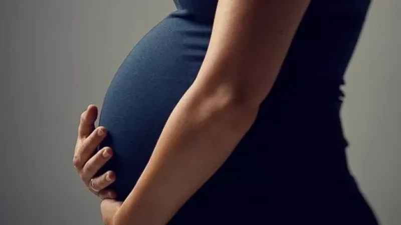 Արցախում հաշվառված հղիներին սննդամթերք և հիգիենայի պարագաներ կտրամադրվի