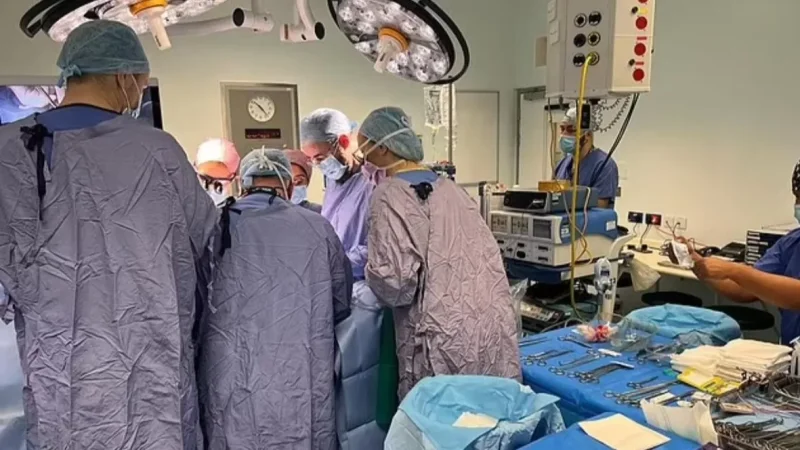 Մեծ Բրիտանիայում առաջին անգամ արգանդի փոխպատվաստում է կատարվել