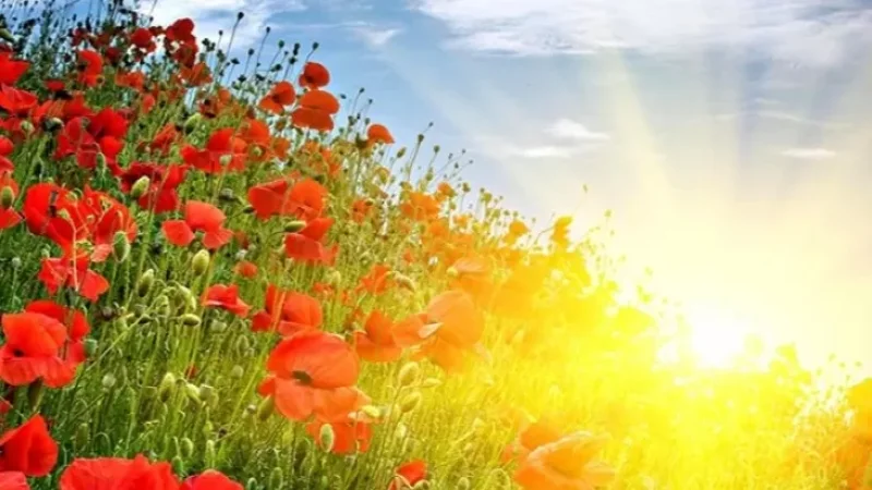 Ի՞նչ եղանակ սպասել ամռան վերջին օրերին․ ջերմաստիճանը կրկին կբարձրանա