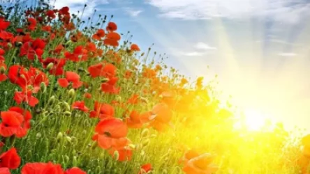 Ի՞նչ եղանակ սպասել ամռան վերջին օրերին․ ջերմաստիճանը կրկին կբարձրանա