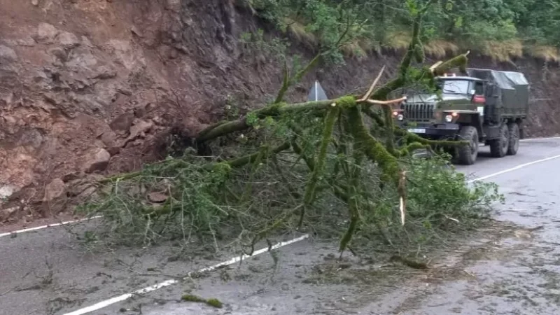 4–մետրանոց ծառն ընկել է Կապան-Տաթև ավտոճանապարհին