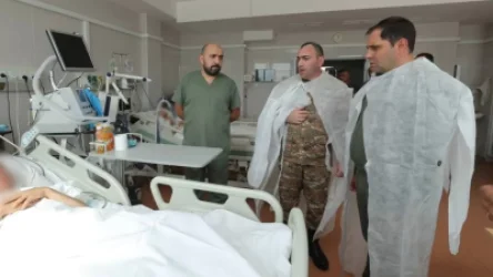 ԼՈՒՍԱՆԿԱՐՆԵՐ. Պապիկյանը տեսակցել է վիրավորում ստացած 2 զինծառայողներին