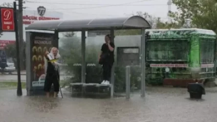 ՏԵՍԱՆՅՈՒԹ. Հեղեղումներ՝ Թուրքիայում. բնակիչները տեղաշարժվում են լողալով և նավարկելով