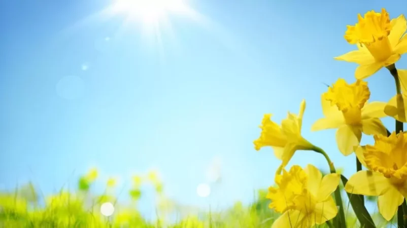 Սպասվում է բարձր կարգի հրդեհավտանգ իրավիճակ․ օդի ջերմաստիճանը կբարձրանա