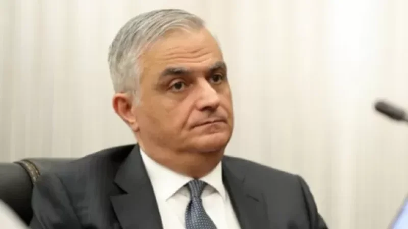 Պետք չէ սև ու սպիտակ գնահատականներ տալ. փոխվարչապետը` ԵՄ դիտորդների գործունեության արդյունավետության մասին