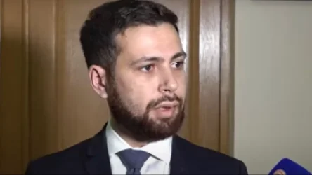 ՏԵՍԱՆՅՈՒԹ․ ԱԳ փոխնախարարի անդրադարձը՝ ՆԱՏՕ-ին անդամակցելու մասին հայտարարությանը