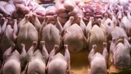 ՏԵՍԱՆՅՈՒԹ. Սեպտեմբերի 1-ից 6-ը արգելվել է ՀՀ ներմուծել  թռչնամիս Բրազիլիայից և Վրաստանից