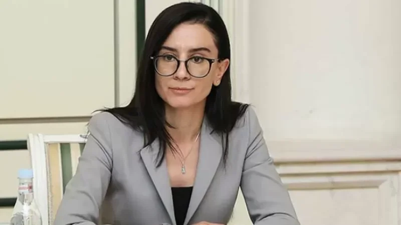 Դատախազությունը զուգարանի 1 խոզանակը գնում է մոտ 20000 դրամով․ «Ժողովուրդ»