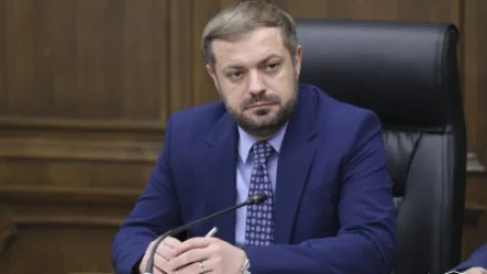 Խաղող մթերողներին  կտրամադրվի մինչև 50 տոկոսի չափով բյուջետային երաշխիք. Պապոյան