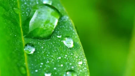 Ջերմաստիճանը աստիճանաբար կնվազի. եղանակի տեսություն