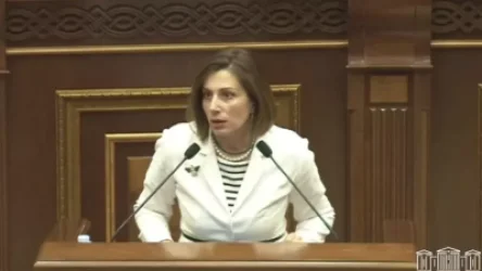 ՏԵՍԱՆՅՈՒԹ. Ավանեսյանը` բուժկենտրոններում տեսալուսանկարահանում իրականացնելու նախագծի մասին