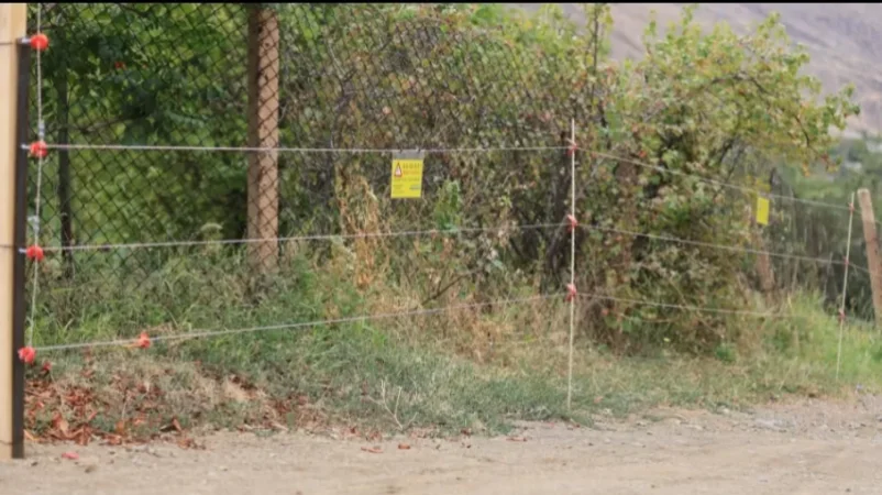 Արևային կայաններ՝  արջերի կողմից տնային տնտեսությունների վրա հարձակումները կանխելու համար