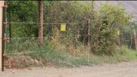 Արևային կայաններ՝  արջերի կողմից տնային տնտեսությունների վրա հարձակումները կանխելու համար