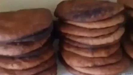 ՏԵՍԱՆՅՈՒԹ․ «Իշխանավորներն իրենց տներում ըսենց հաց խոխաներին կտա՞ն»․ արցախցի