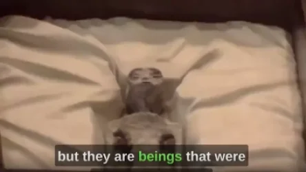 ՏԵՍԱՆՅՈՒԹ. Պերուն հերքում է Նասկա անապատի մումիաների այլմոլորակային ծագումը. ինչ է պարզվել