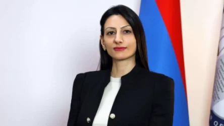 ժամը 16:00-ի դրությամբ ՄԻՊ թեժ գծին ստացվել է ընտրական գործընթացի մասին 56 հեռախոսազանգ