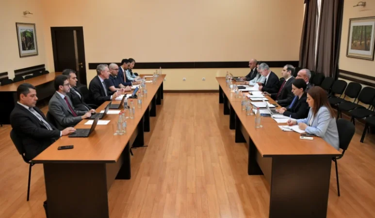 Քննարկվել է արհեստական բանականության գործիքների կիրառումը ՊԵԿ-ի ստուգումներում