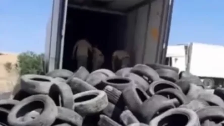 ՏԵՍԱՆՅՈՒԹ․ Լաչինում պատերազմի նախապատրաստություններ են ընթանում․ ադրբեջանցի բլոգեր