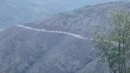 ՏԵՍԱՆՅՈՒԹ․ Նոր կադրեր՝ հայաթափվող Արցախից