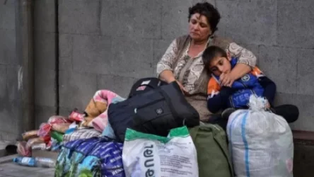 Բռնի տեղահանված անձանց ներհոսքը խիստ նվազել է. Նազելի Բաղդասարյան