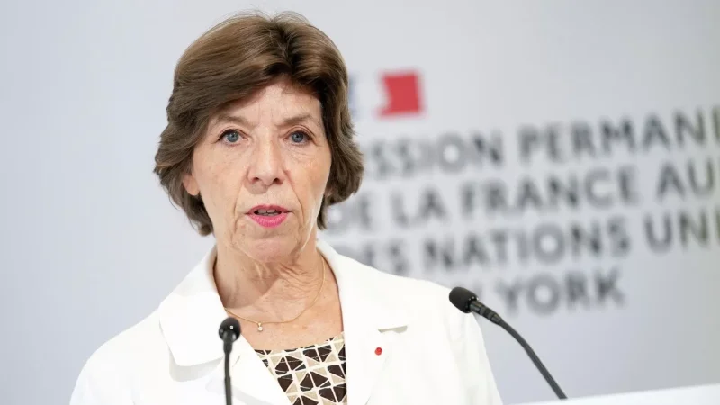 Ֆրանսիան պատրաստ է պայմանագիր կնքել ՀՀ-ի հետ ռազմական տեխնիկա մատակարարելու համար. Կատրին Կոլոննա