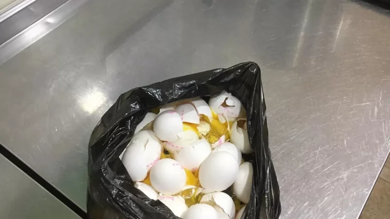 Դպրոցի ճաշարանում հայտնաբերվել է ժամկետանց սննդամթերք