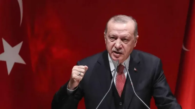 Էրդողանը «պատերազմող կողմերին զսպվածության կոչ է արել»