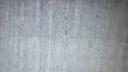 ՏԵՍԱՆՅՈՒԹ․ Իսրայելի ռազմածովային ուժերը ոչնչացրել են երկու նավ, որոնցում եղել են տասնյակ պաղեստինցի զինյալներ