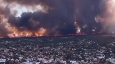 ՏԵՍԱՆՅՈՒԹ. Արգենտինայում մեծ անտառային հրդեհ է բռնկվել. ոստիկանությունը ձերբակալել է տեղի բնակիչին