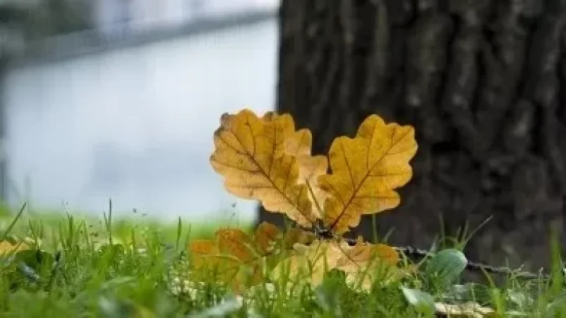 Տեղումներ չեն լինի․ ինչ եղանակ է սպասվում առաջիկա օրերին